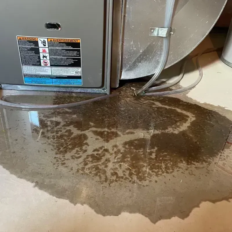 Appliance Leak Cleanup in White County, IN